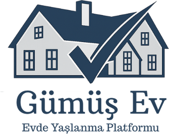 GümüşEv logosu